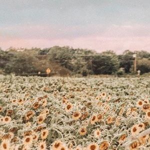 Meet your Posher, Ella